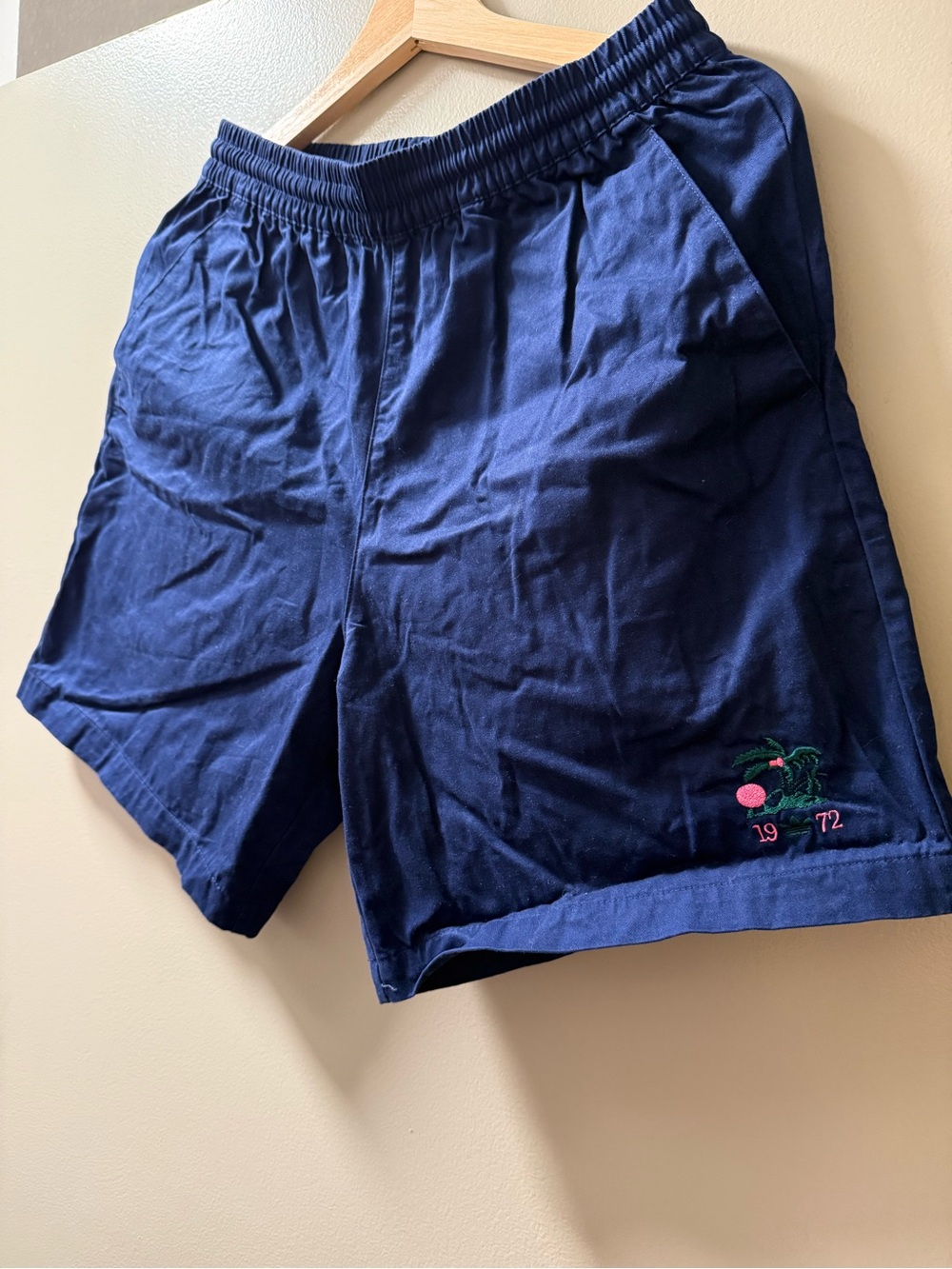 Men's Navy Embroidered Casual Shorts